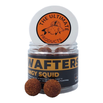 Wafters Ultimate Products Tangy Squid 20mm