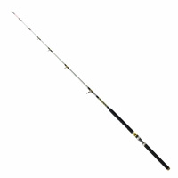 Robinson Siluro Spin 2,70m 80-250g